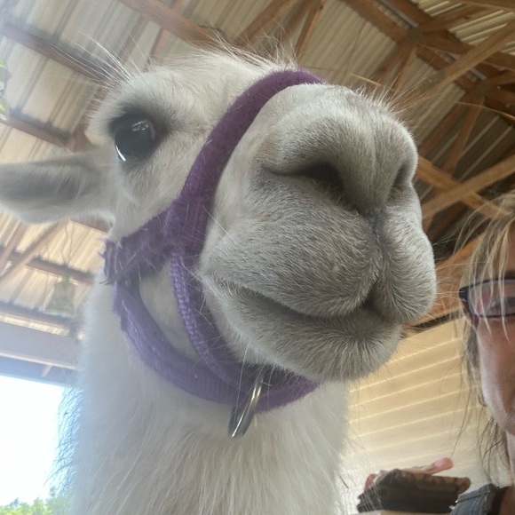 Meet your Posher, Linda - Picture 11 of 16